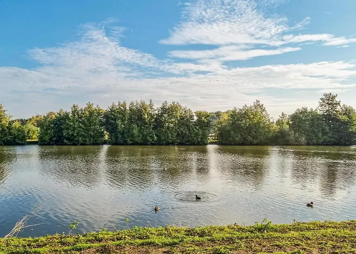 Amazing In With Wifi *